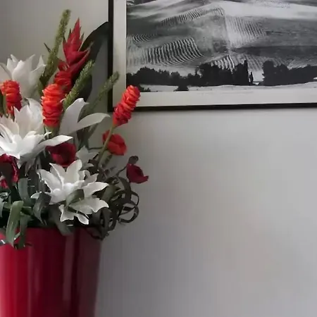 Fiorella 2* Senigallia