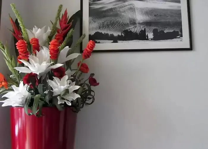 Fiorella 2* Senigallia